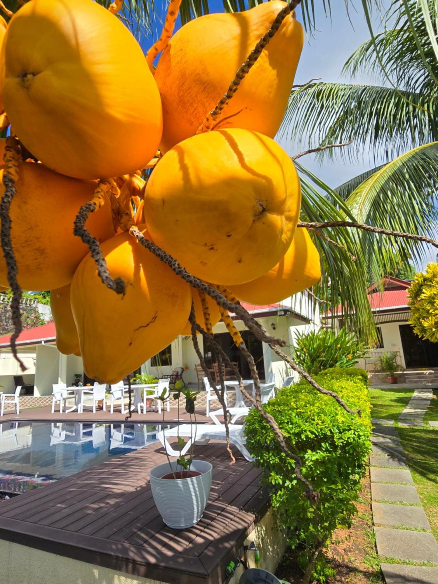 Emma'S Guest House And Self-Catering Au Cap 外观 照片