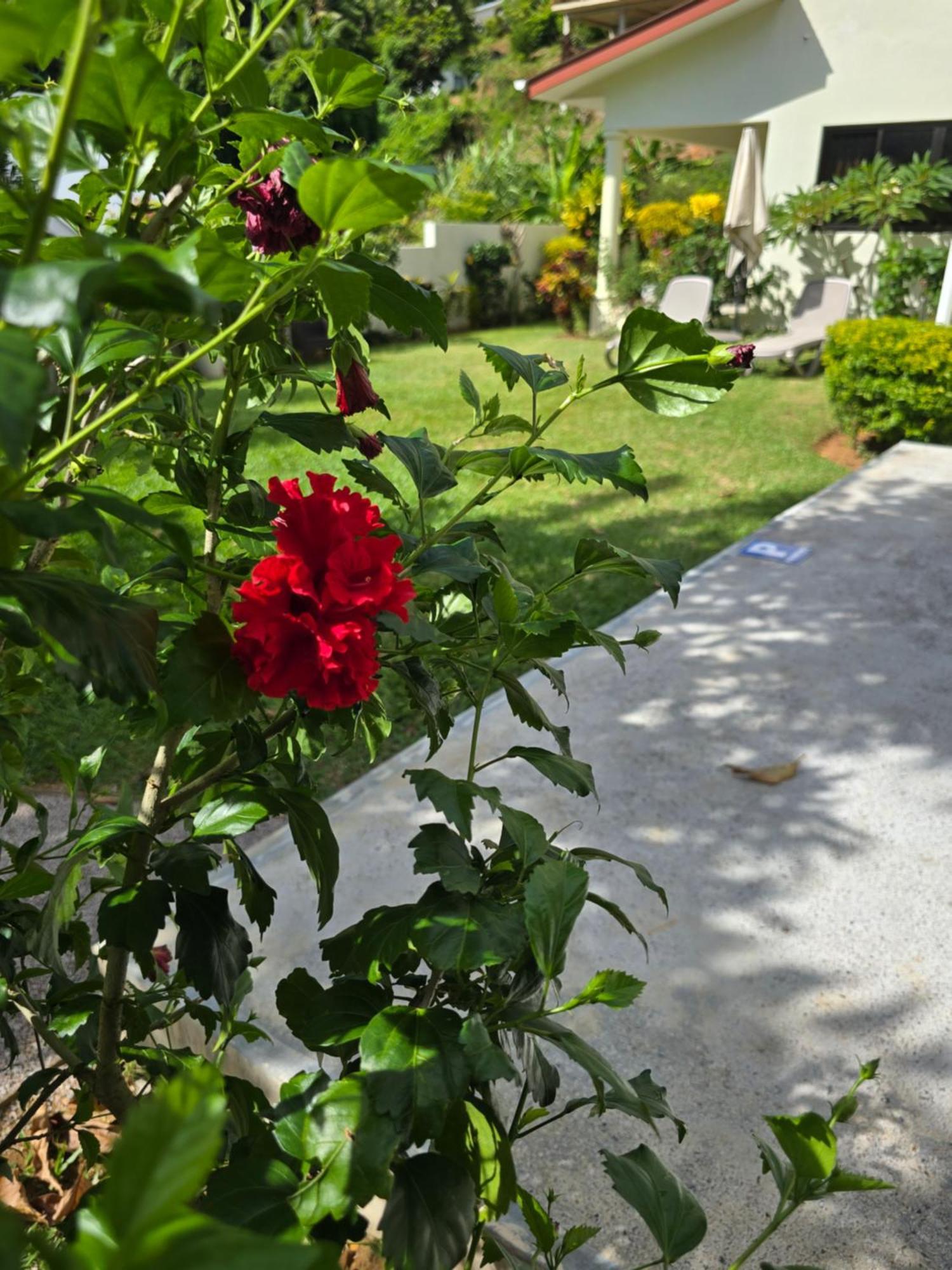 Emma'S Guest House And Self-Catering Au Cap 外观 照片