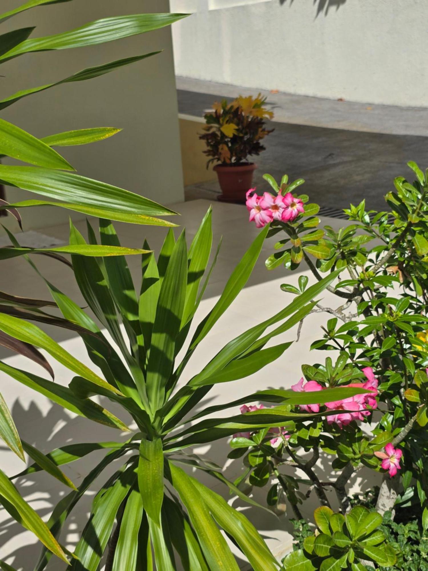Emma'S Guest House And Self-Catering Au Cap 外观 照片